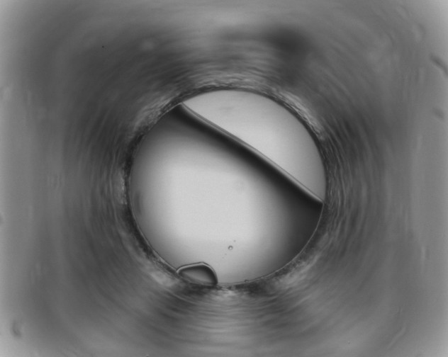 X0000096150453200801180833