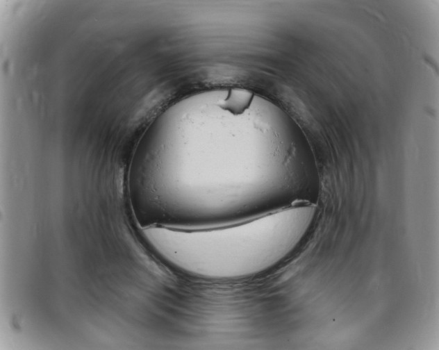 X0000096150454200801180833