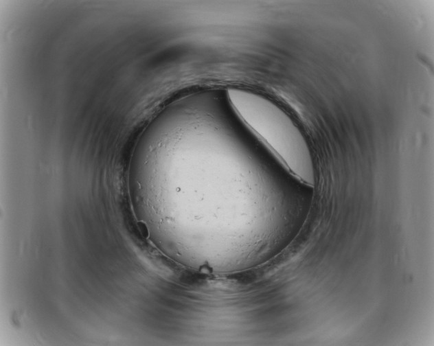 X0000096150455200801180833