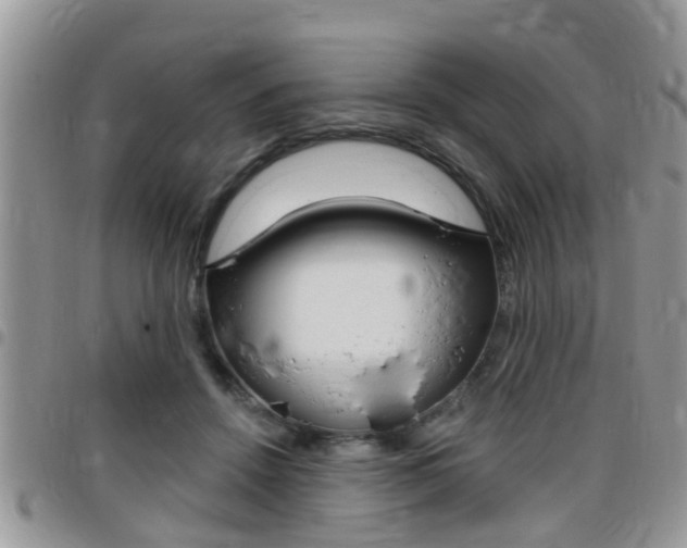 X0000096150456200801180833