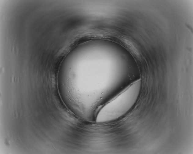 X0000096150457200801180833