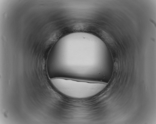 X0000096150458200801180833