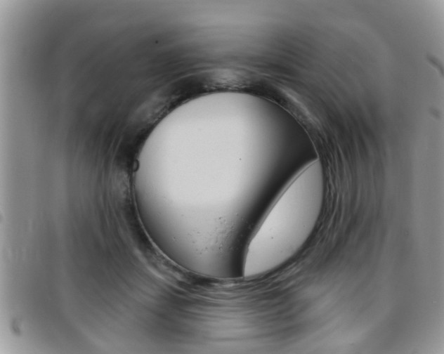 X0000096150459200801180833