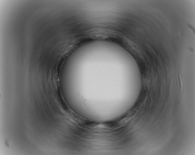 X0000096150460200801180833