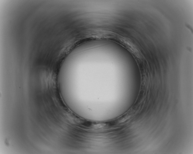 X0000096150461200801180833