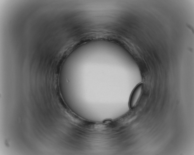 X0000096150462200801180833