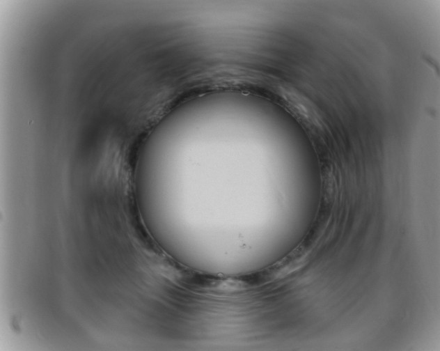 X0000096150463200801180833
