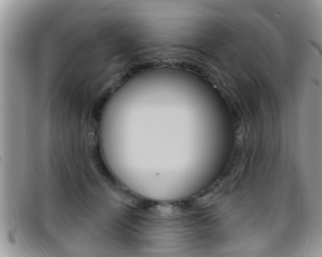 X0000096150464200801180833