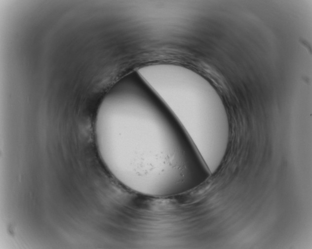 X0000096150465200801180833
