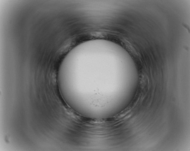 X0000096150466200801180833