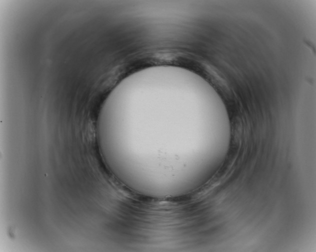 X0000096150467200801180833