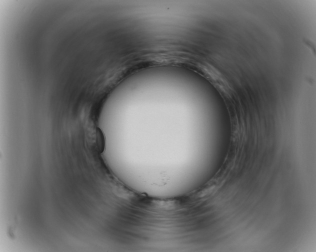 X0000096150469200801180833