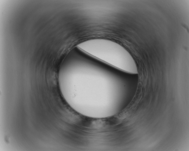 X0000096150470200801180833