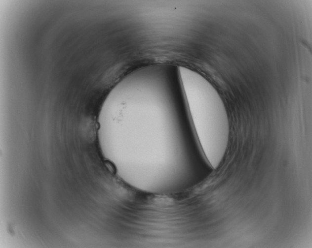 X0000096150471200801180833