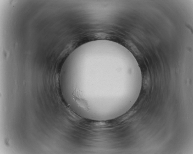 X0000096150473200801180833