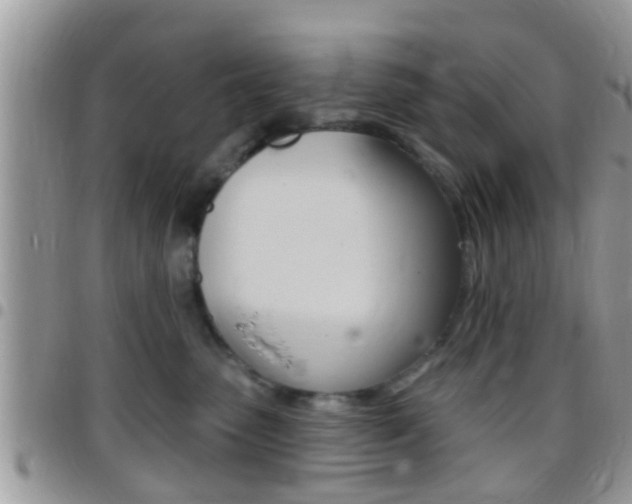 X0000096150475200801180833