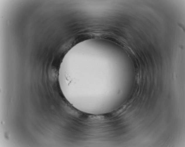 X0000096150476200801180833