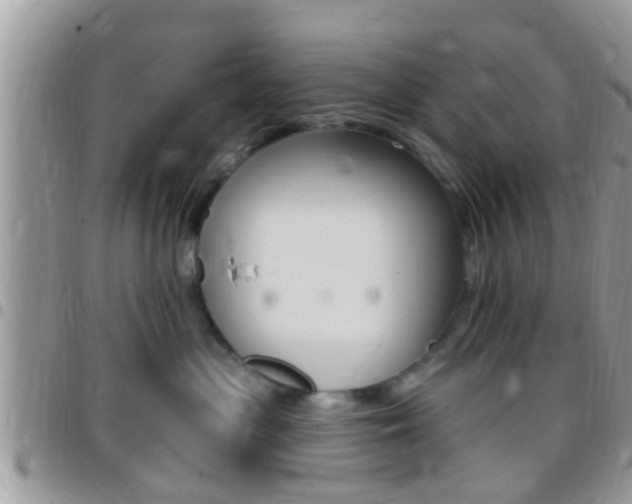 X0000096150477200801180833