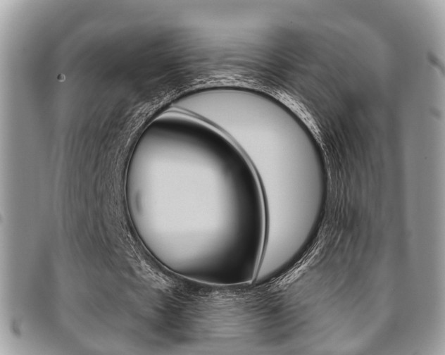 X0000096150481200801180833
