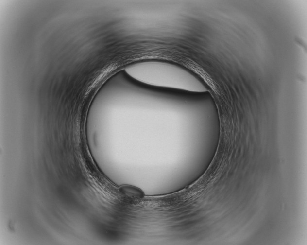 X0000096150482200801180833