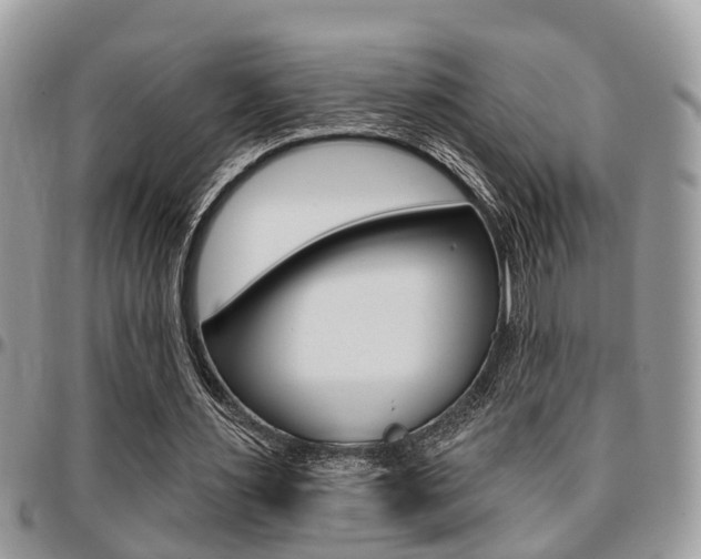 X0000096150483200801180833