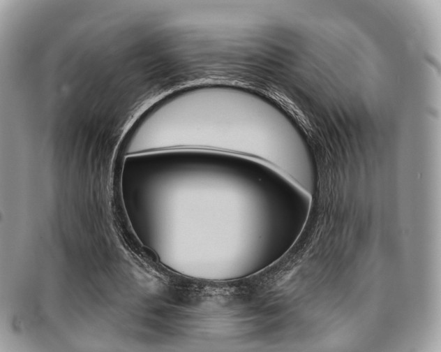 X0000096150484200801180833