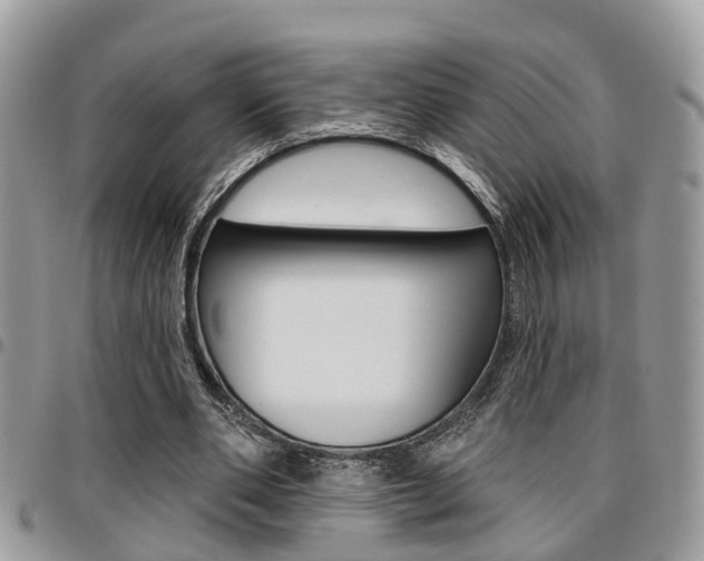 X0000096150486200801180833