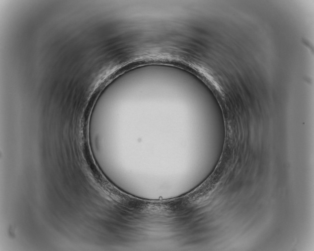 X0000096150487200801180833