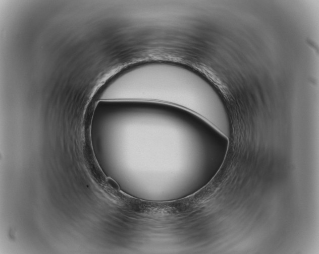 X0000096150488200801180833