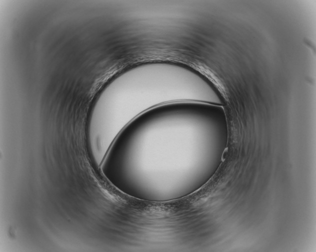 X0000096150489200801180833