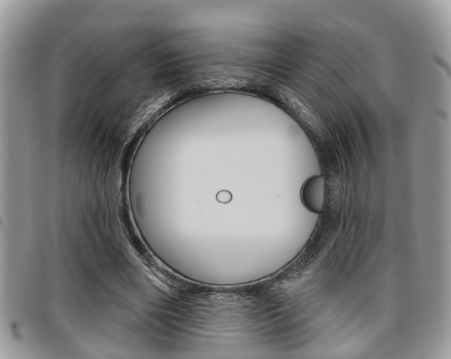 X0000096150490200801180833
