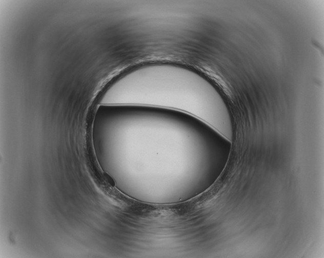 X0000096150492200801180833
