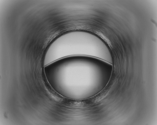 X0000096150493200801180833