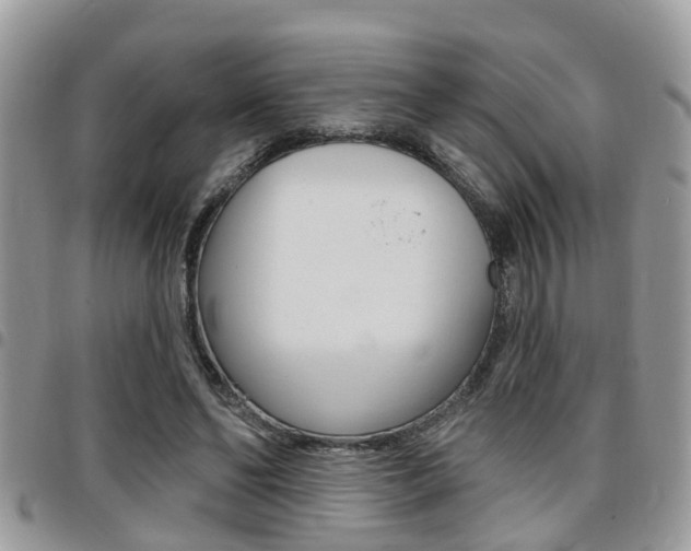 X0000096150494200801180833
