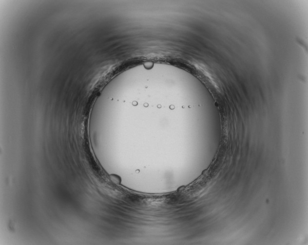 X0000096150495200801180833