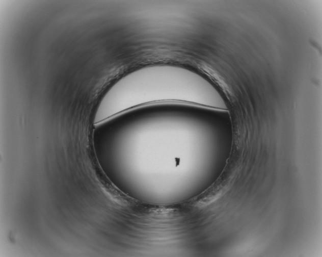 X0000096150497200801180833