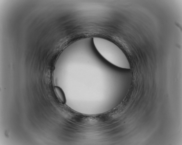 X0000096150498200801180832