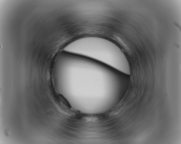 X0000096150500200801180832