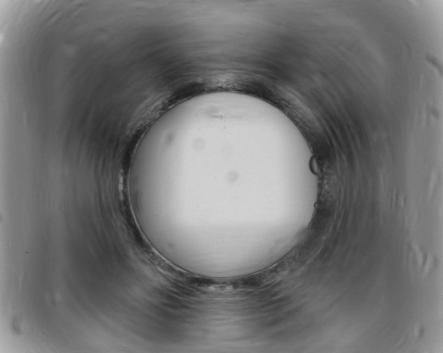 X0000096150502200801180832