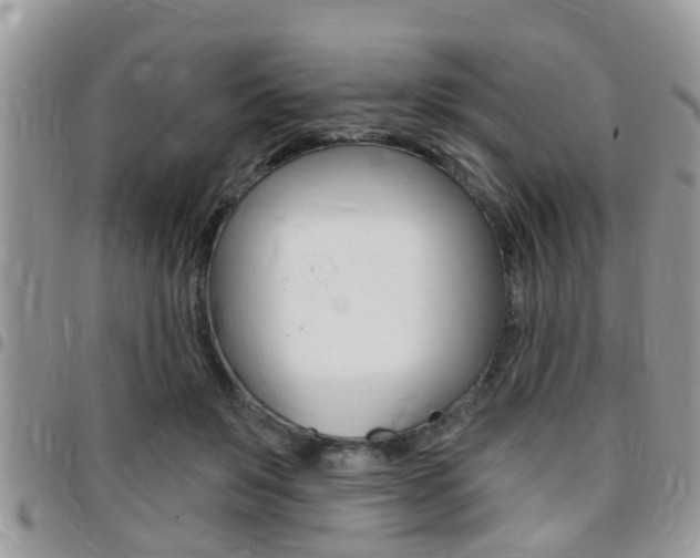 X0000096150503200801180832