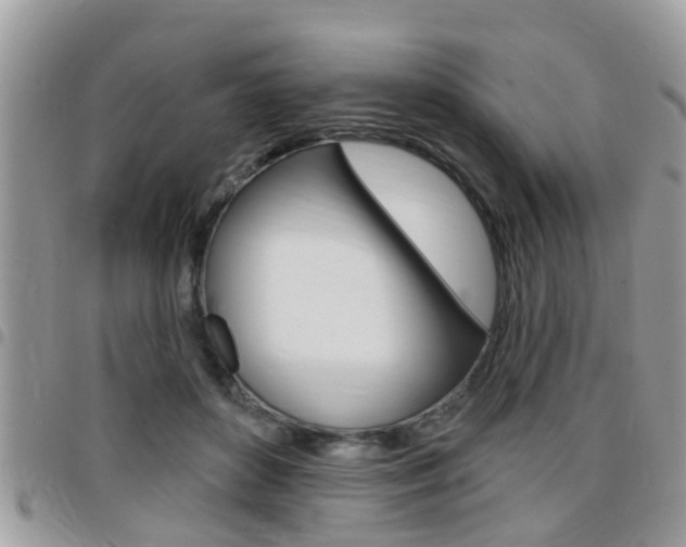 X0000096150504200801180832
