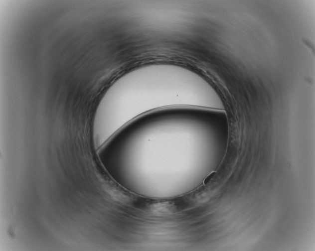 X0000096150505200801180832