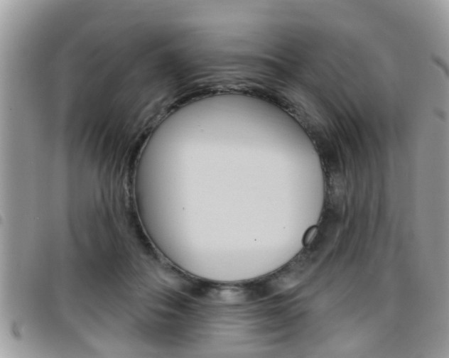 X0000096150506200801180832