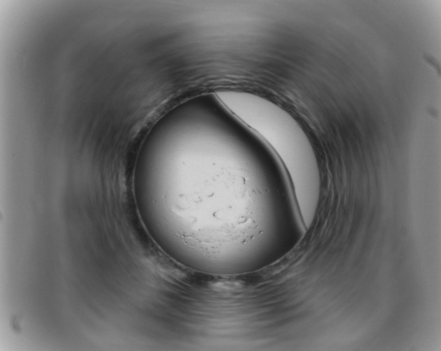 X0000096150508200801180832