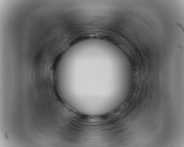 X0000096150510200801180832