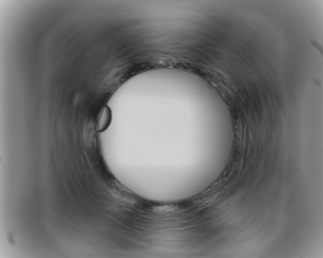 X0000096150511200801180832