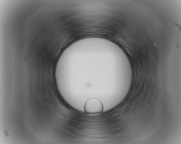 X0000096150512200801180832