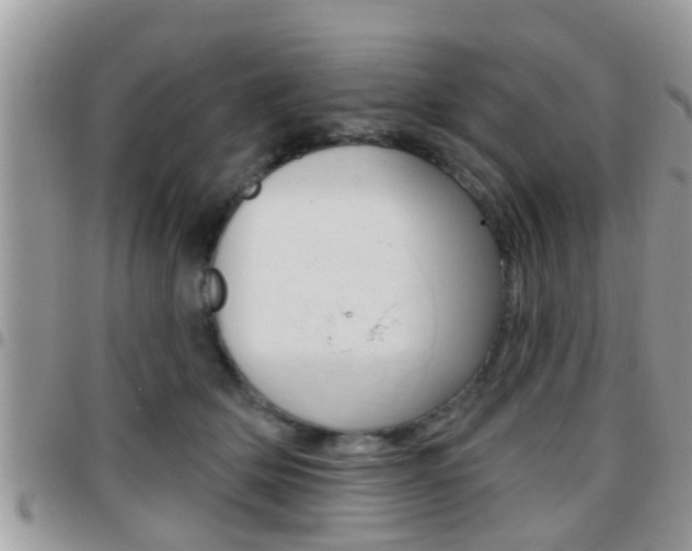 X0000096150514200801180832