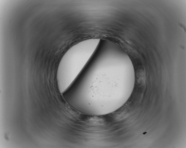 X0000096150515200801180832