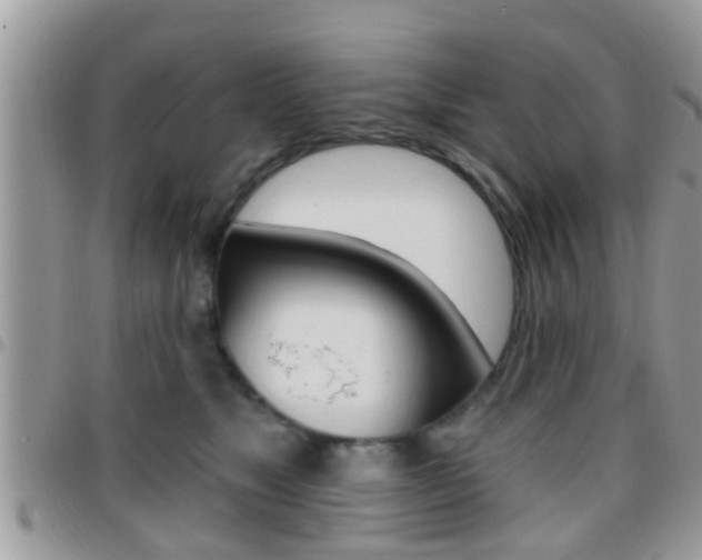 X0000096150517200801180832